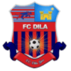 Dila Gori logo