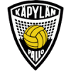 KaPa logo